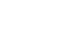 Veri-Plan